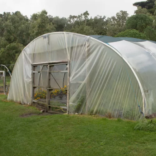 4 Year UV Resistant 8 mil Heavy Duty Clear Greenhouse Covering - Choose Your Size