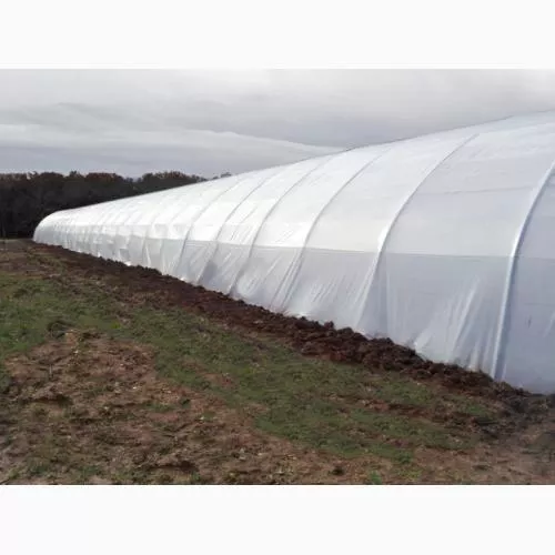 6 Mil White Overwintering Film