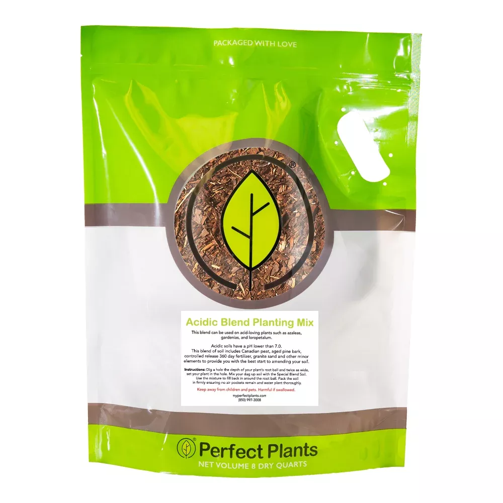 Acidic Potting Soil