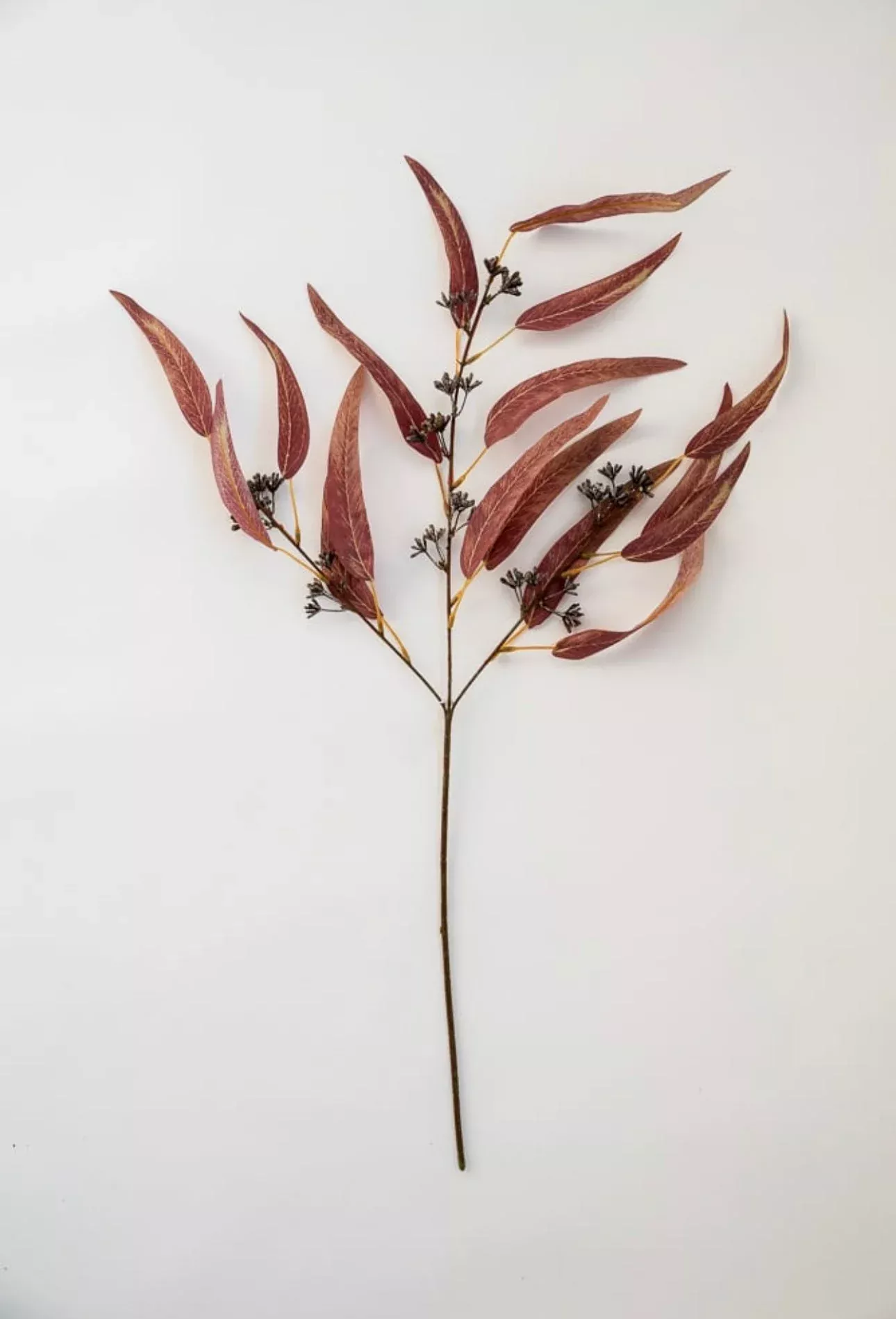 Artificial, blade eucalyptus spray - brown