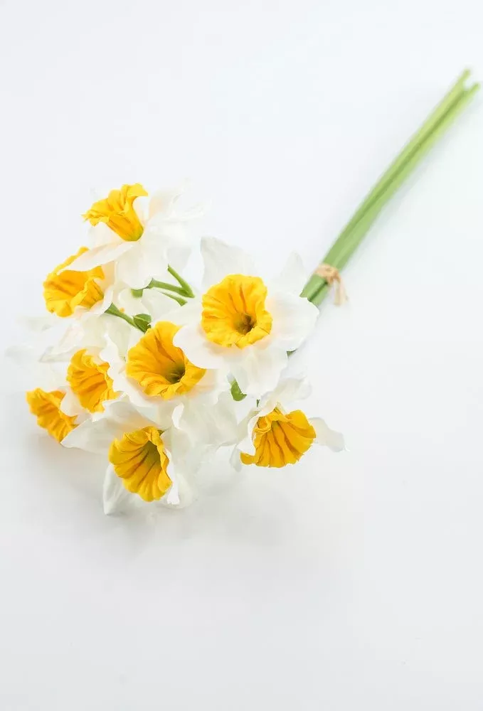 Artificial Daffodils Bundle - White Yellow