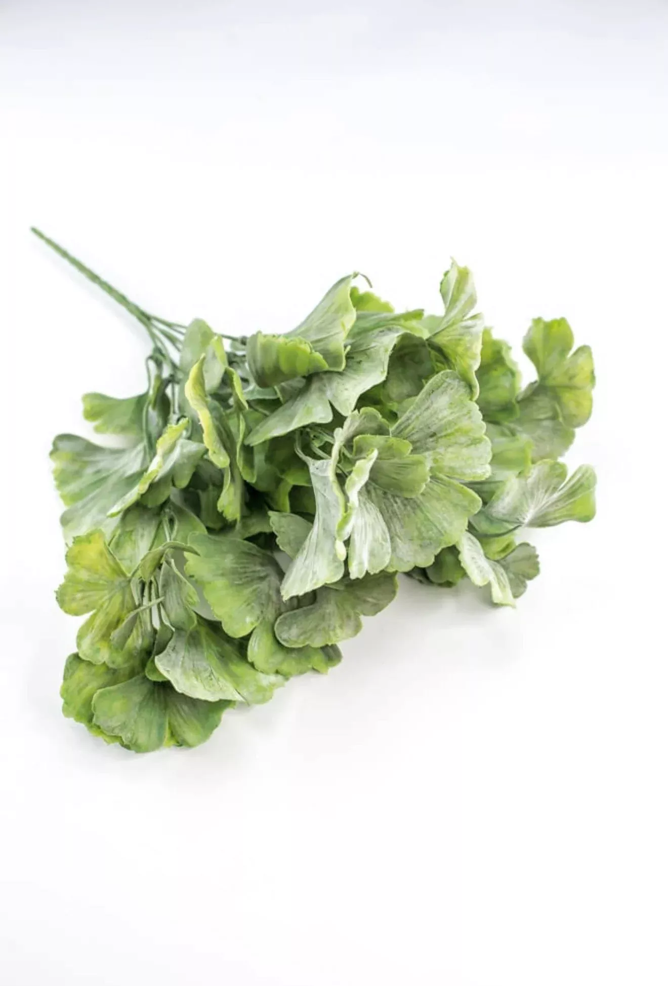 Artificial Gingko biloba plant