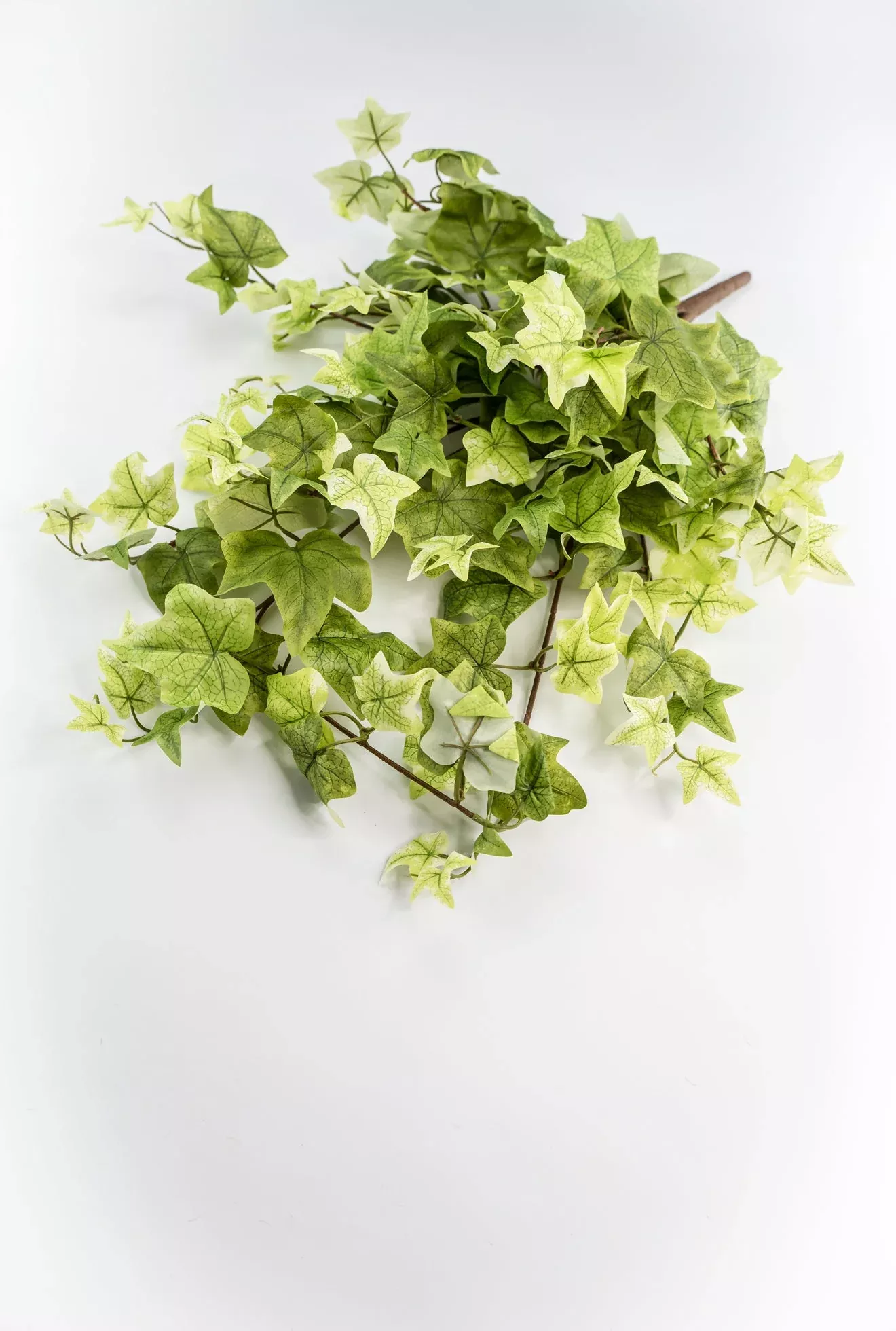 Artificial, hanging, Ivy bush