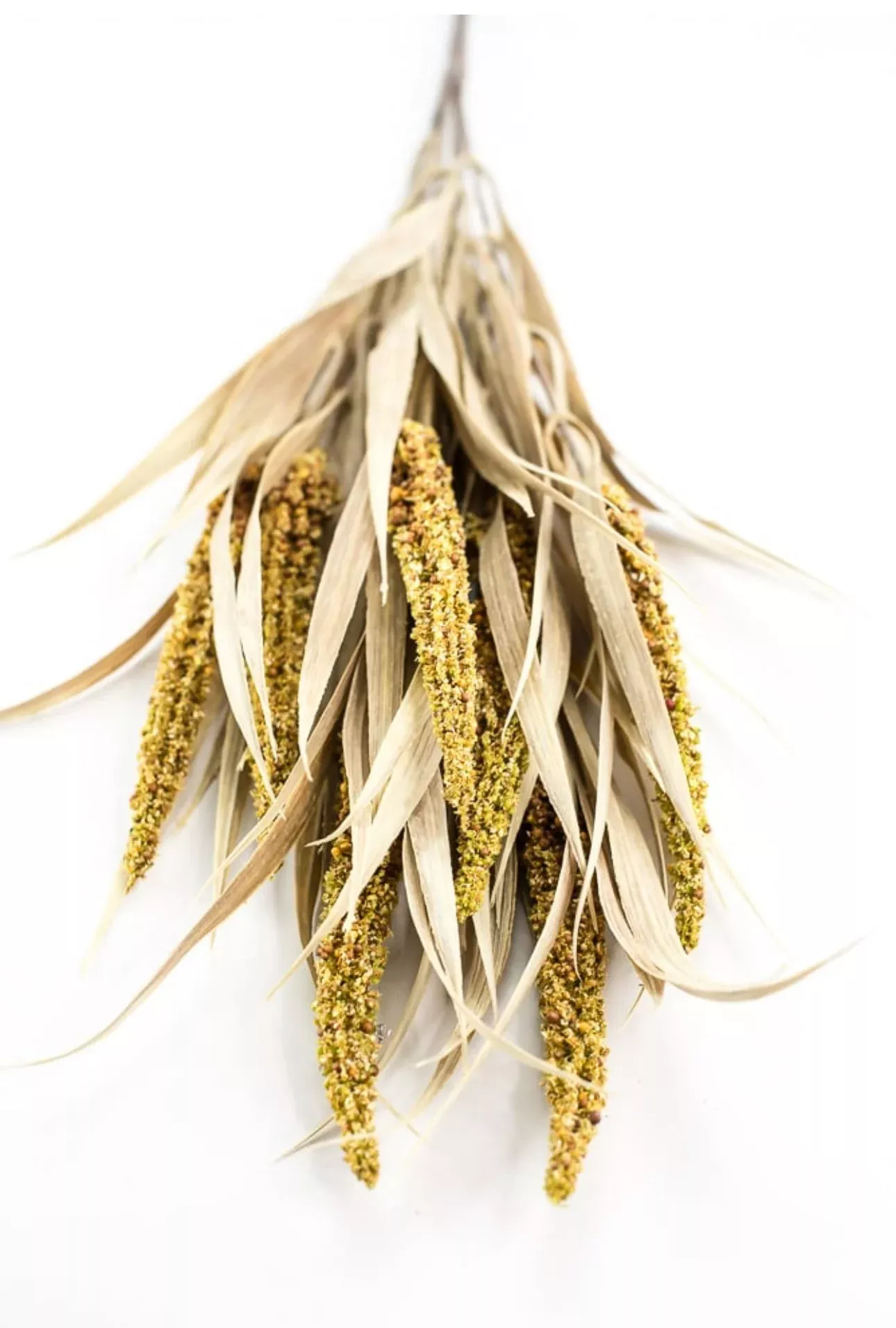 Artificial Wheat and seed bush