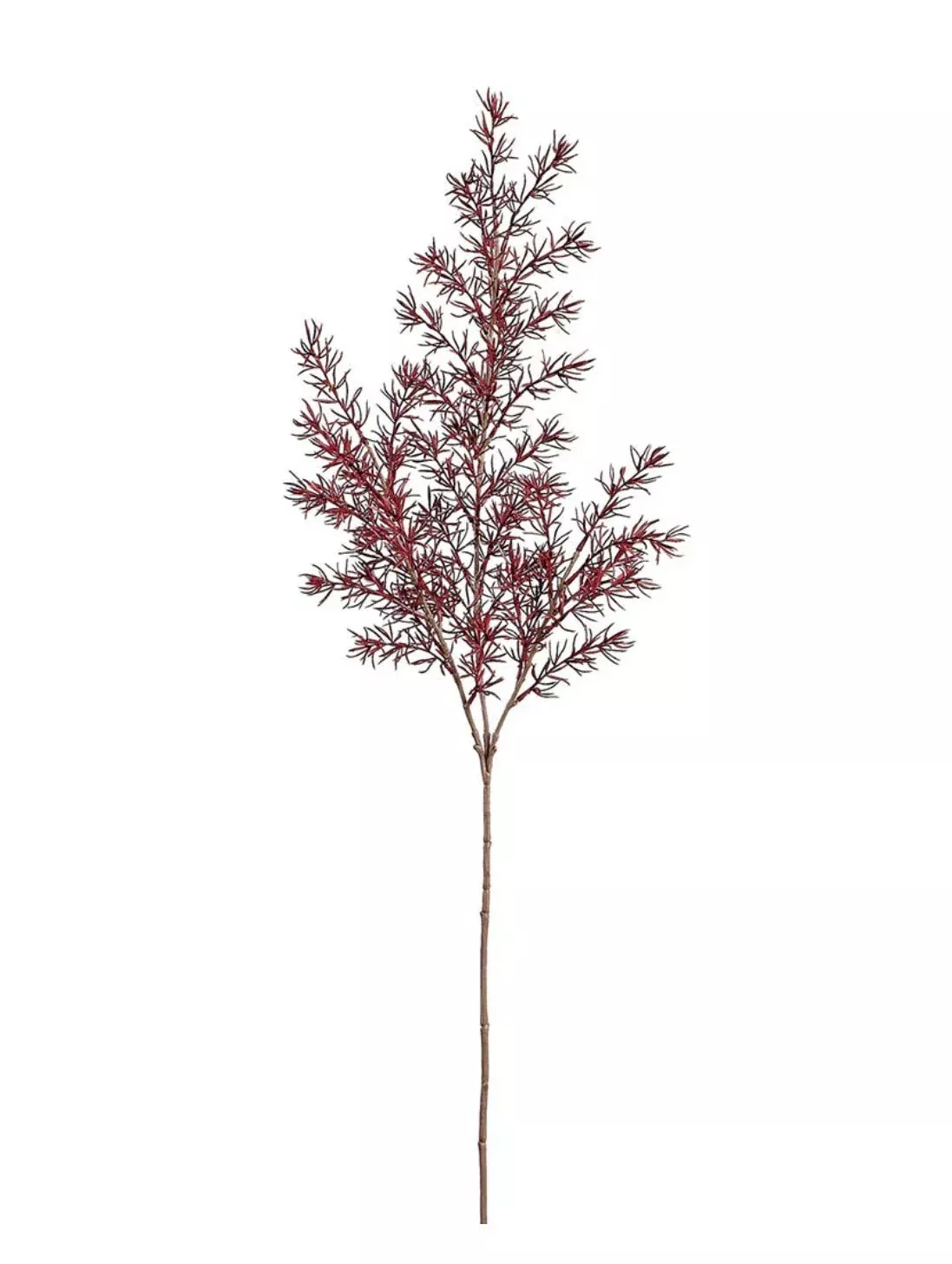 Autumn Asparagus Fern Spray - Burgundy