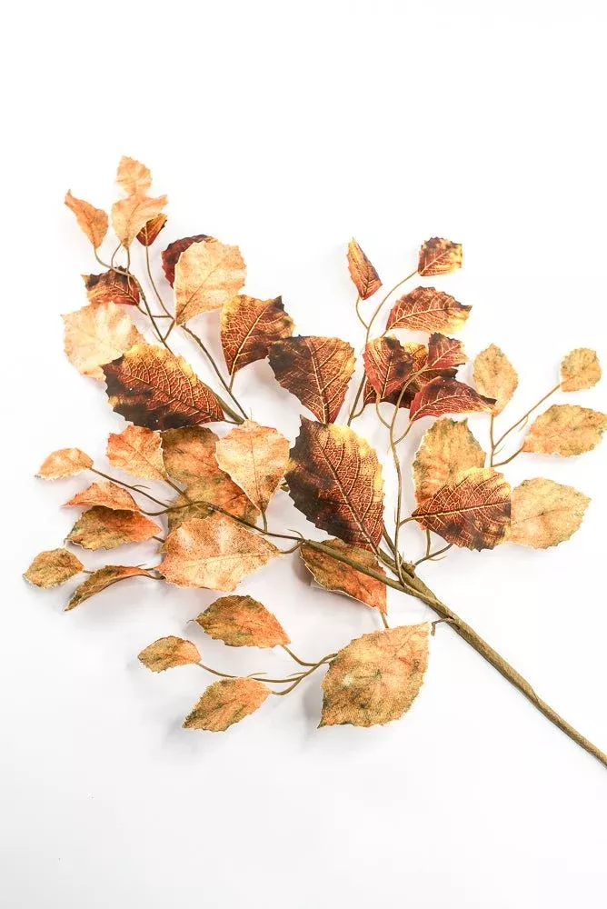 Autumn Beech Leaves Spray