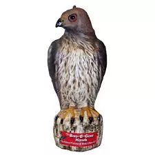 Bird-B-Gone Hawk