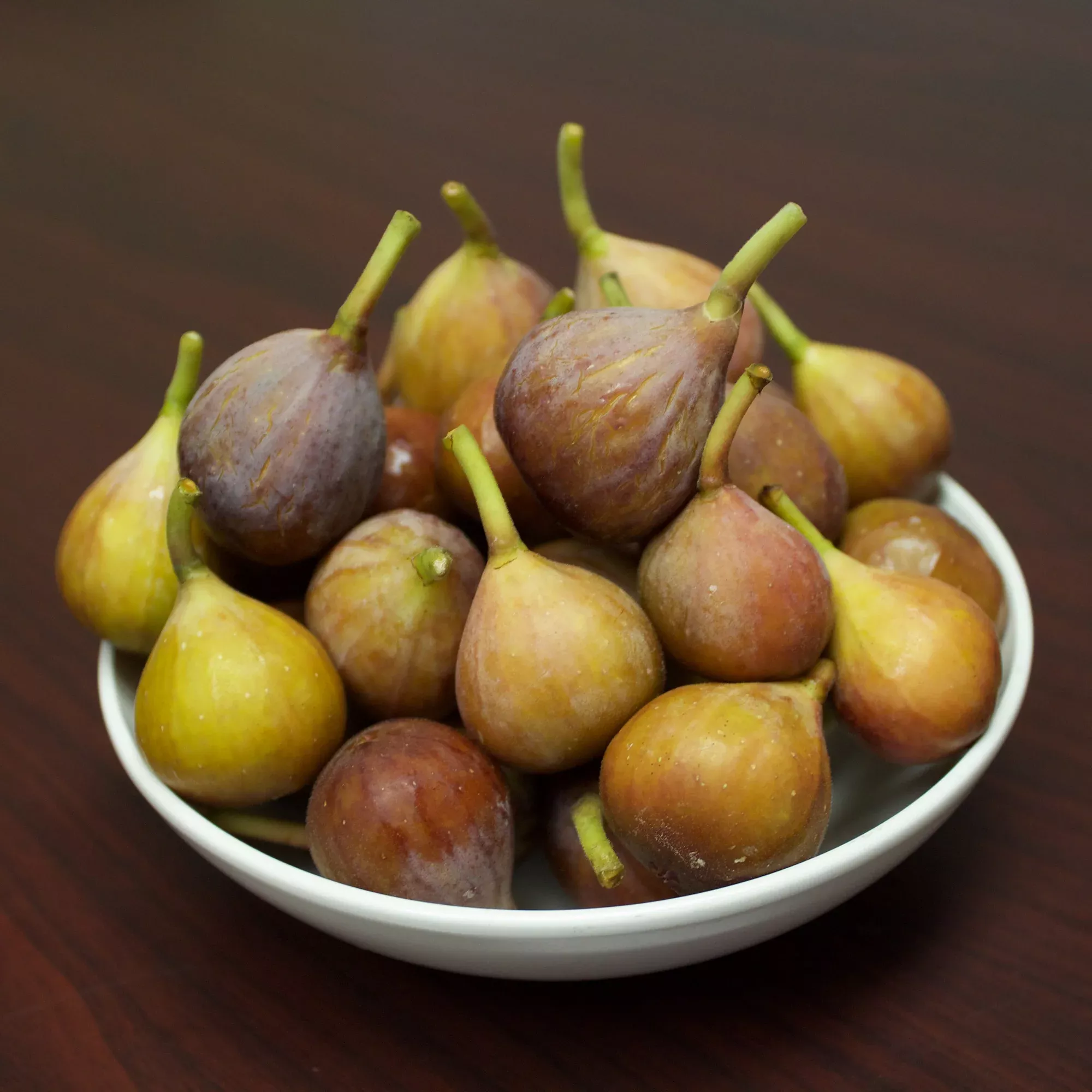 Brown Turkey Fig Tree