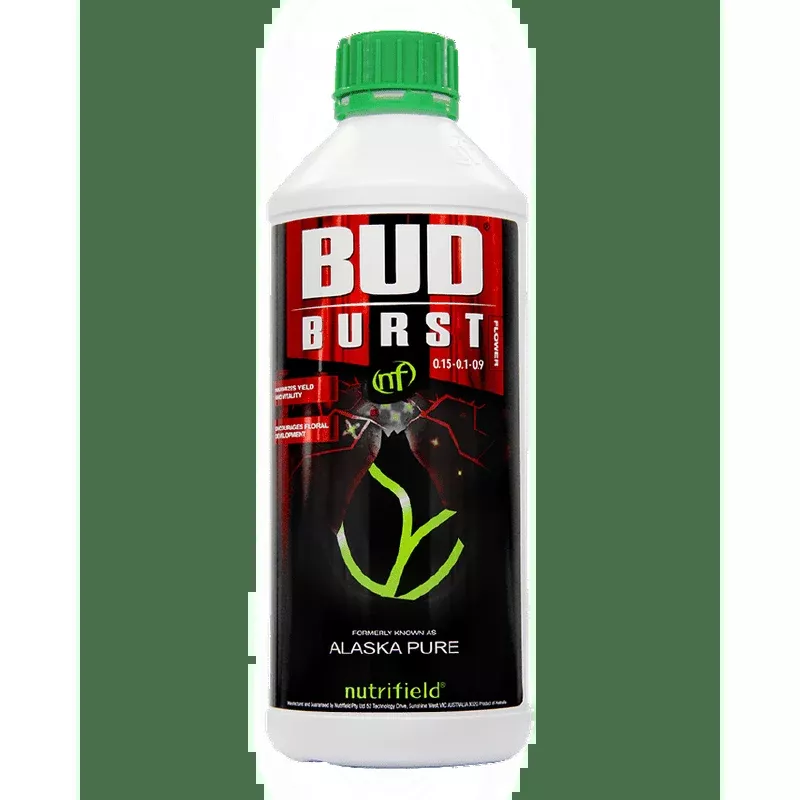 Bud Burst