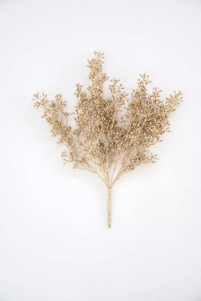Champagne mini seed berry bush - all pvc
