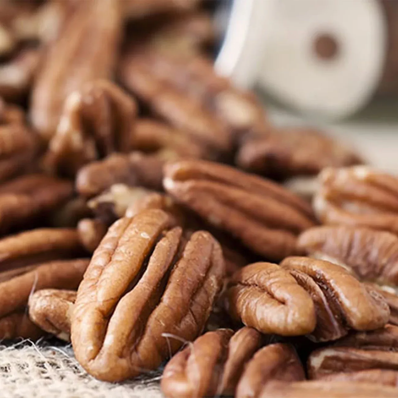 Desirable Pecan Tree | Type 1 Pollinator