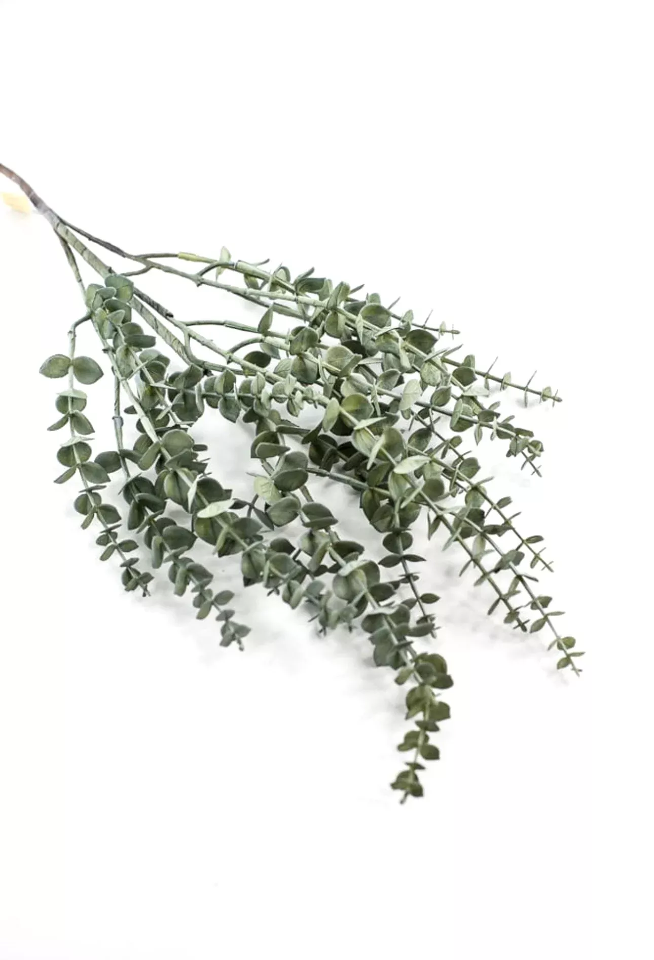 Eucalyptus spray - petite leaf