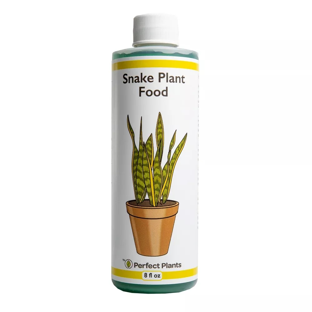 Fertilizer for Snake Plant