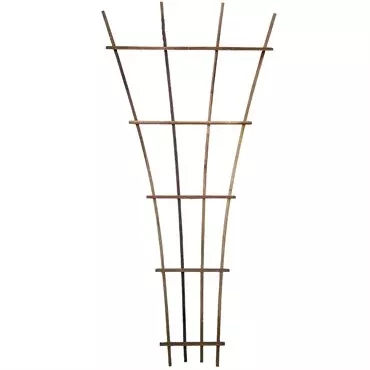 A&G Fan Trellis