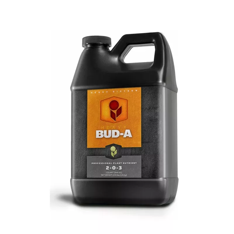 Heavy 16 Bud A, Quart