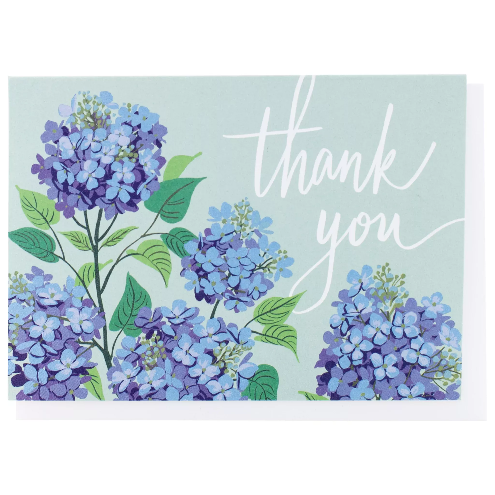 Hydrangea Thank You Boxed Note Cards: Single Card