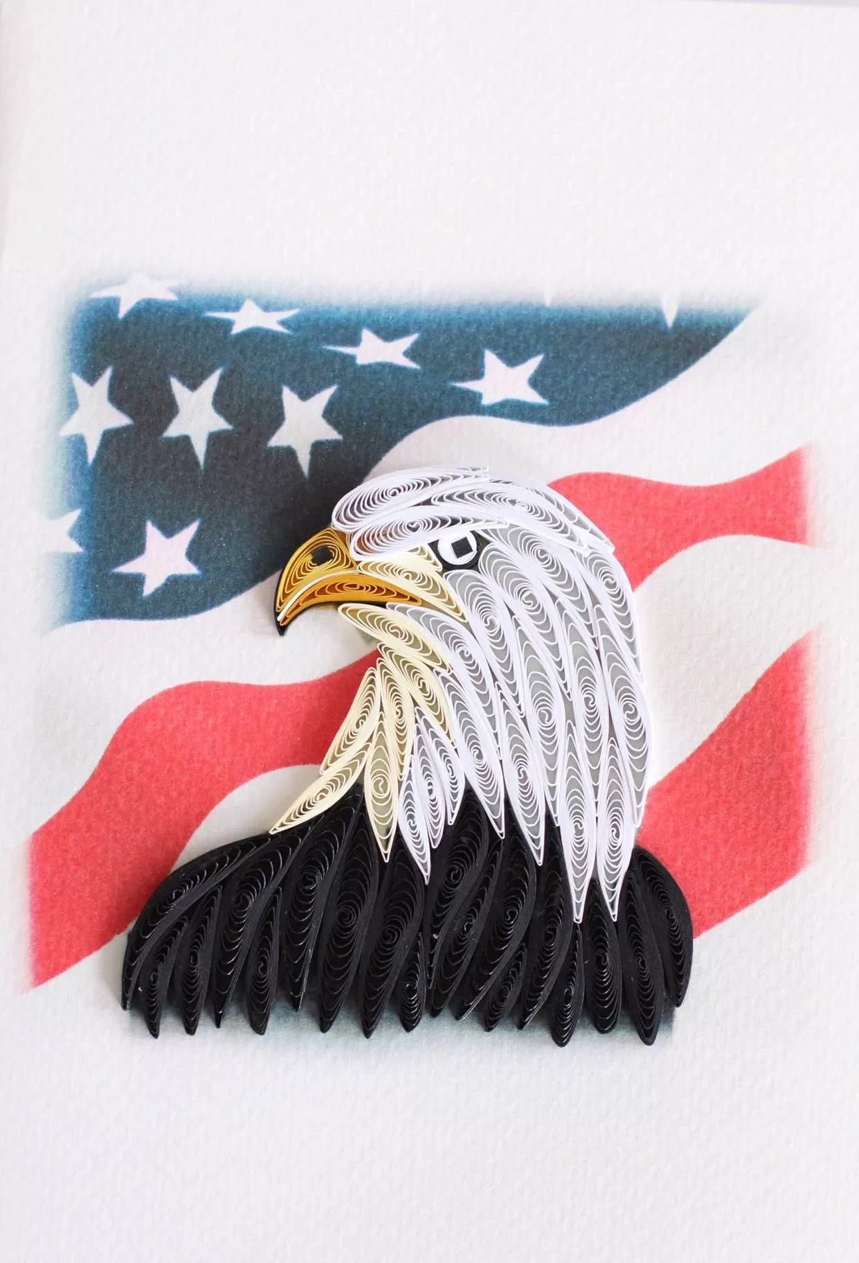 Land of the Free