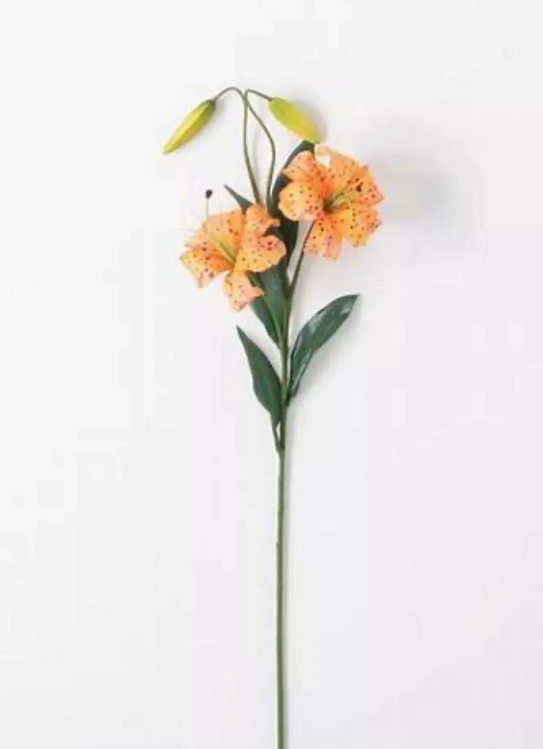 Orange, real touch, Lily spray