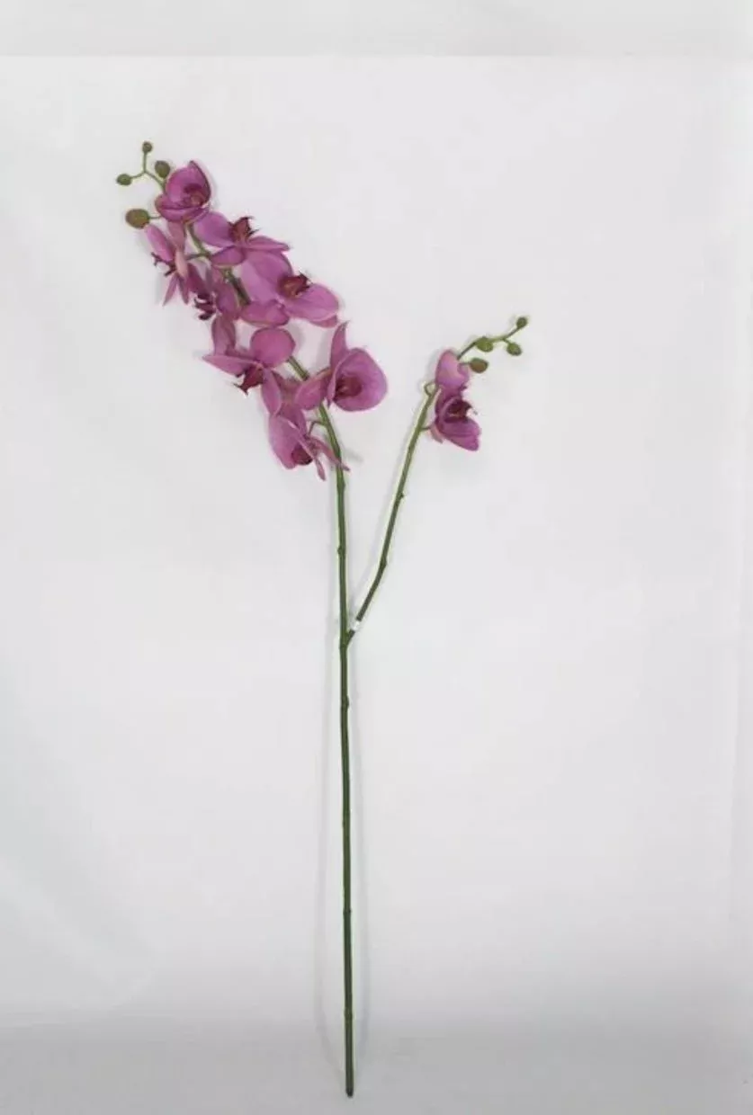 Phalaenopsis, Orchid Flower Spray - Purple