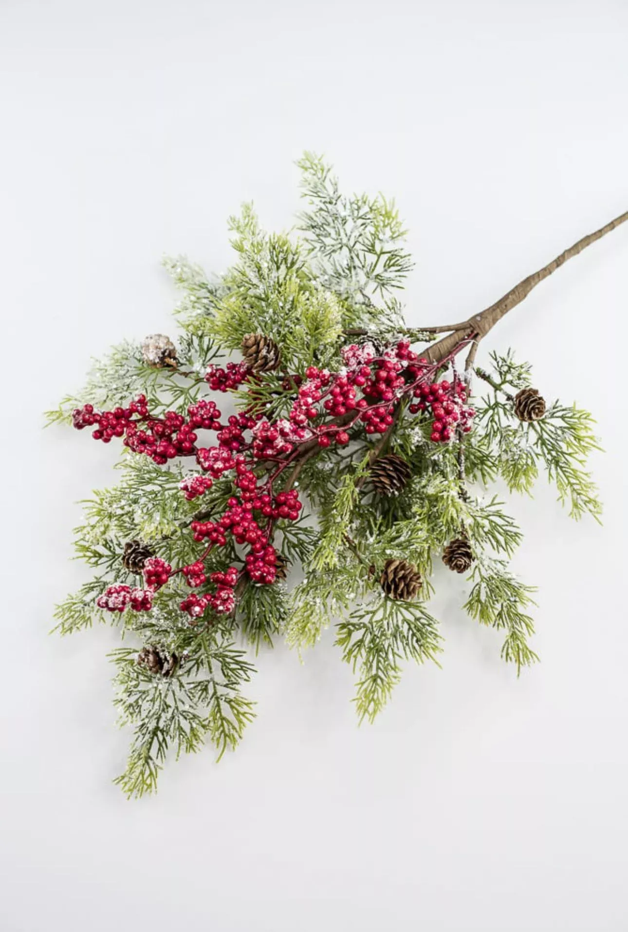 Pine and red berries bush