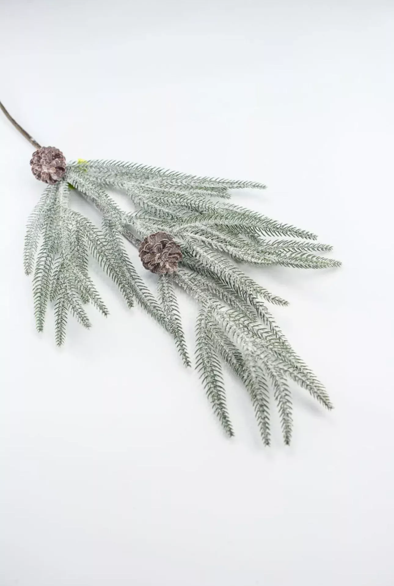 Pine Spray