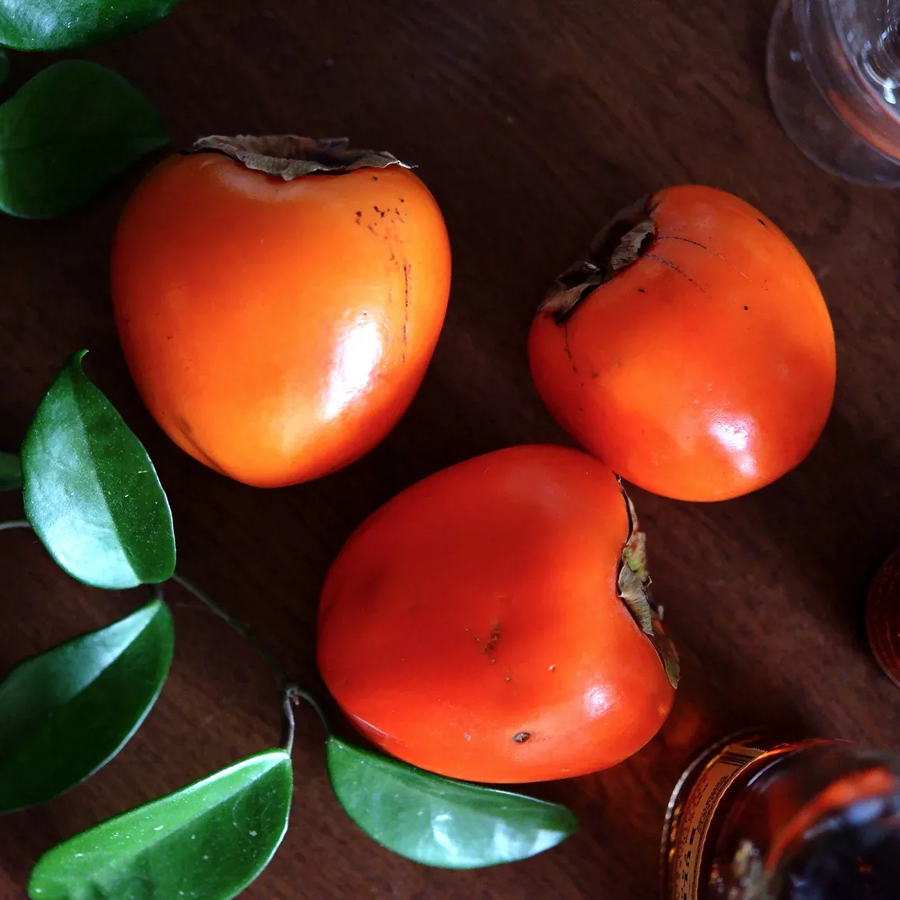 Prok Persimmon Tree