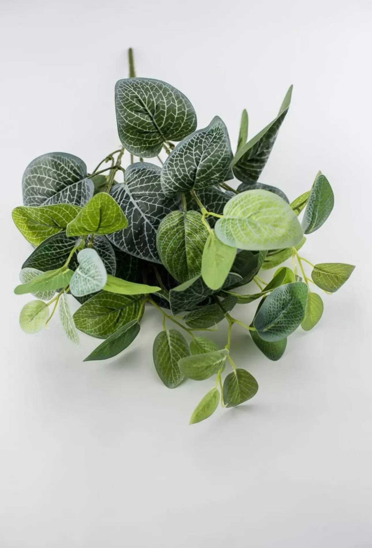 Real touch Fittonia leaves bush