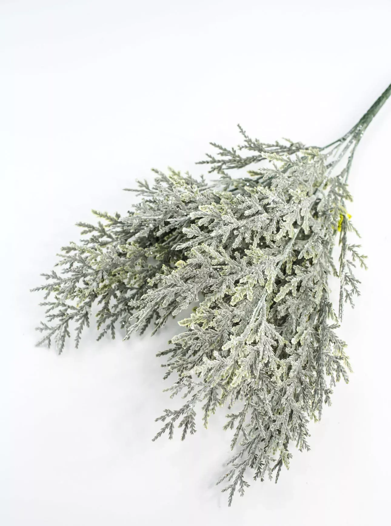 Snowy Cedar Bush