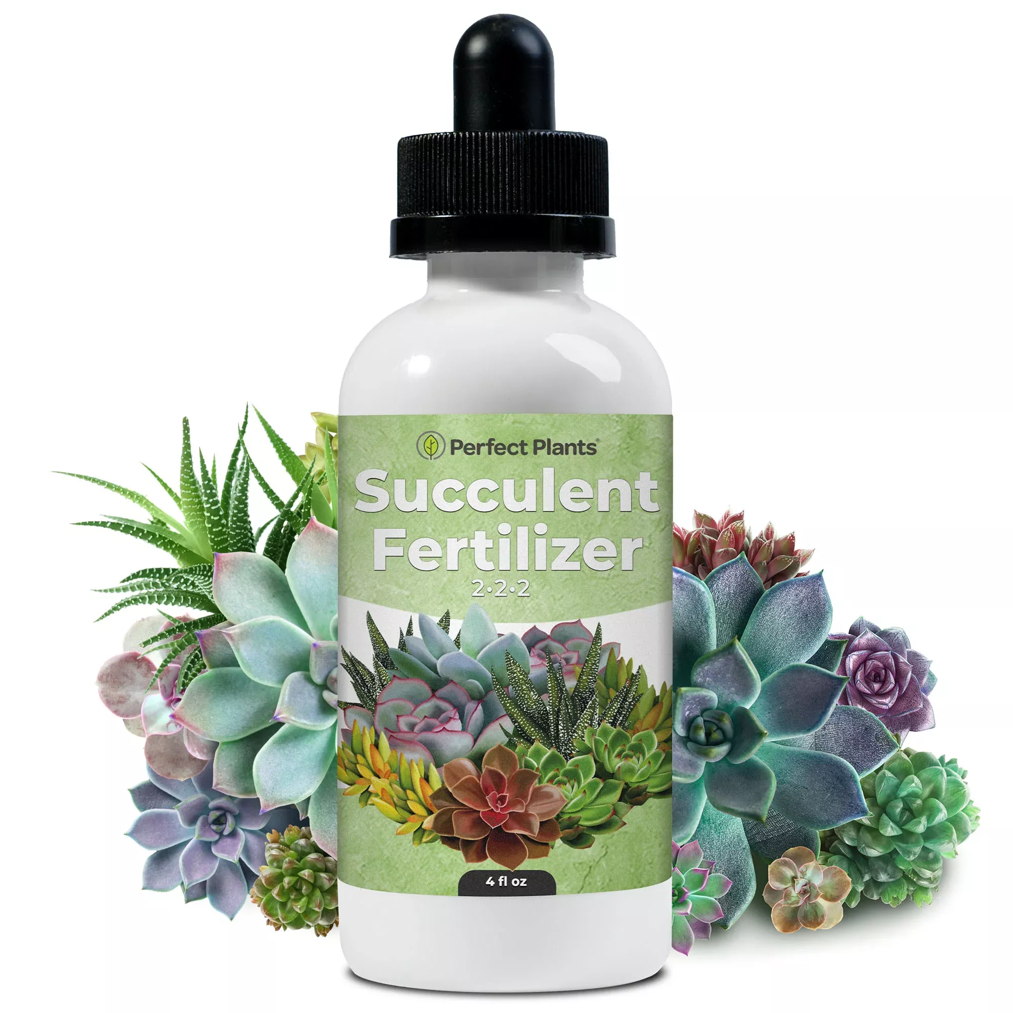 Succulent Fertilizer Drops