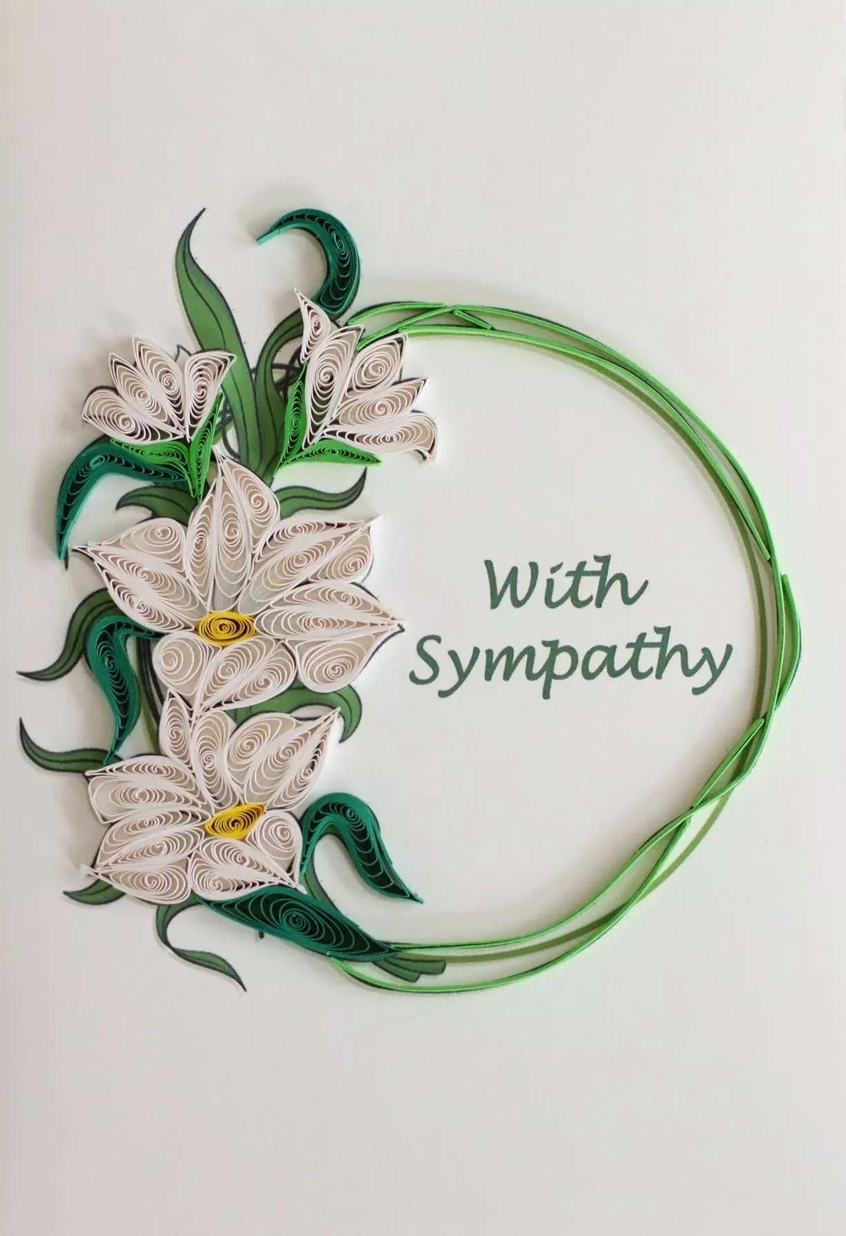 Sympathy - White Orchids