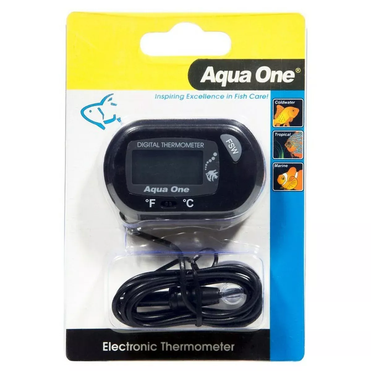 Thermometer With LCD Display