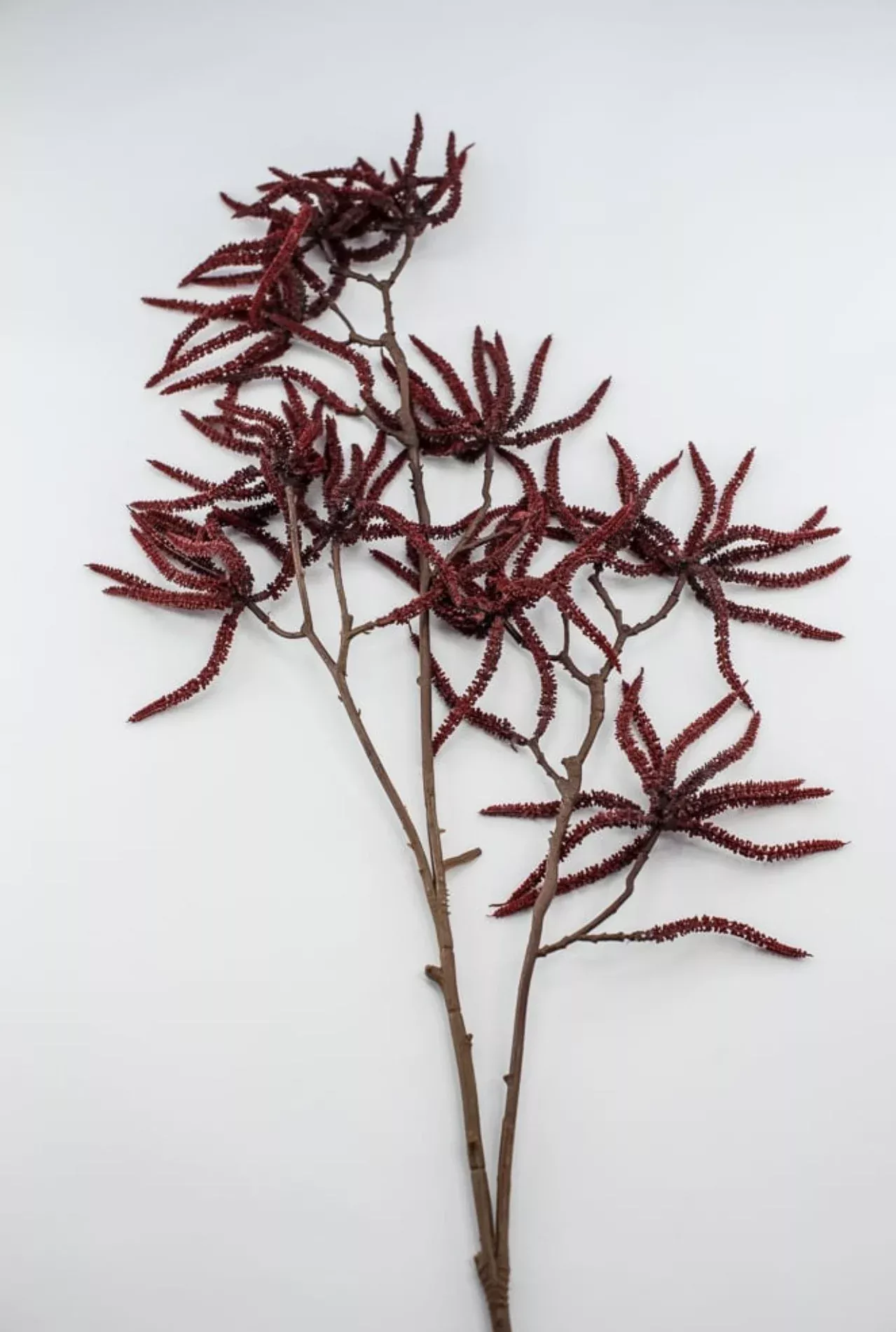 Unique grass stem - burgundy