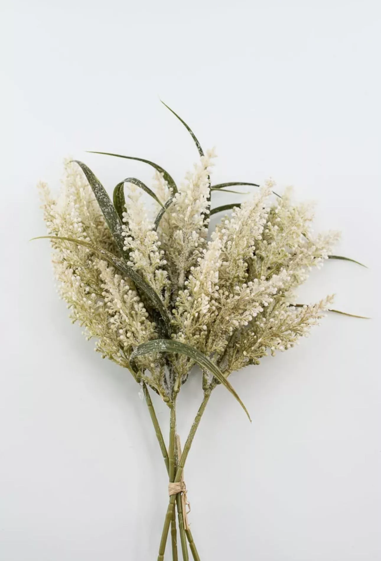 Wheat grass bundle cream/green
