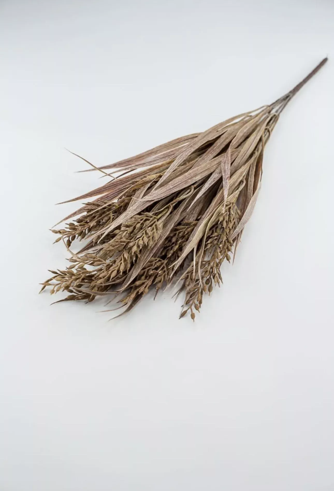 Wheat Grass Bush - soft brown
