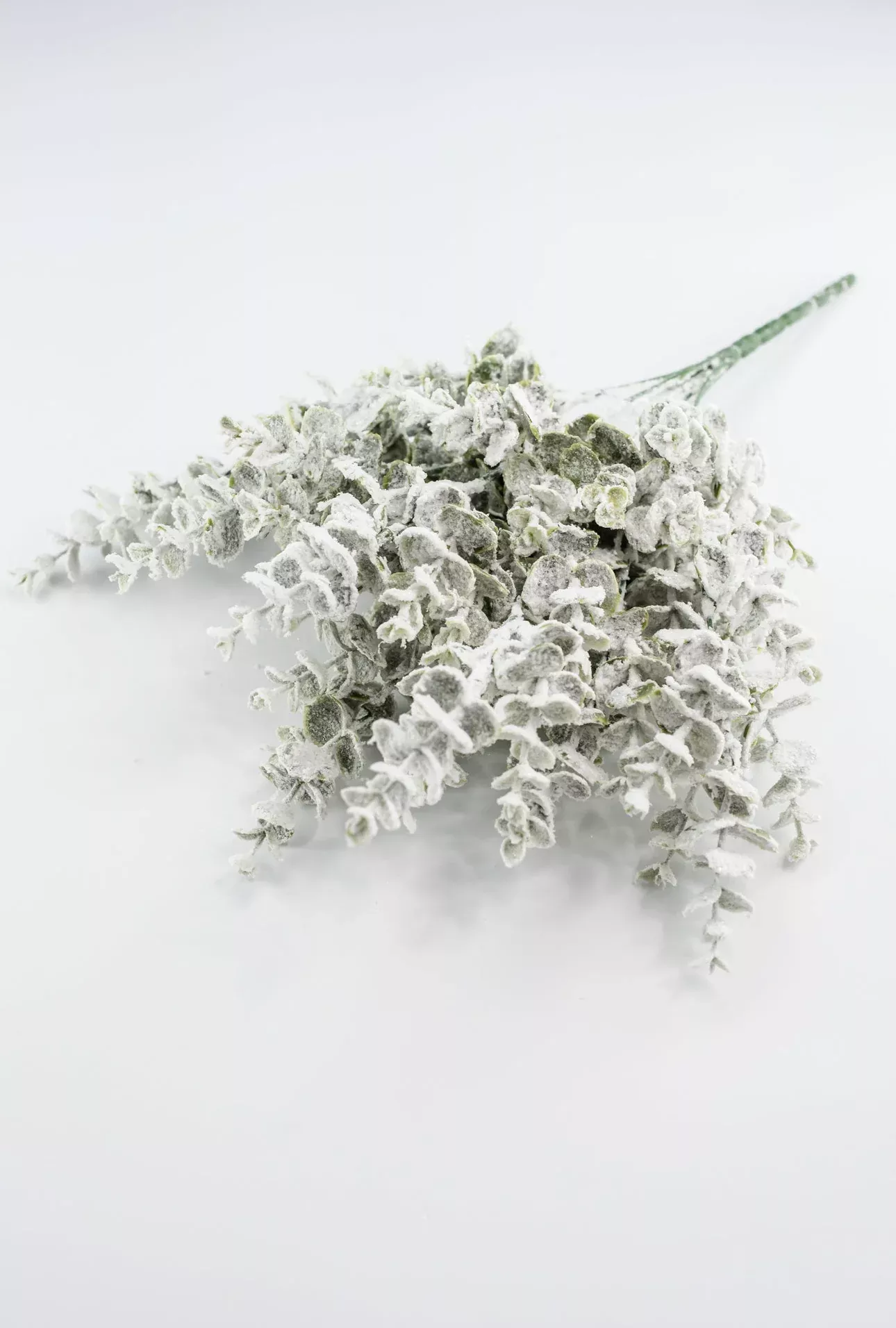 Winter heavy flocked eucalyptus bush