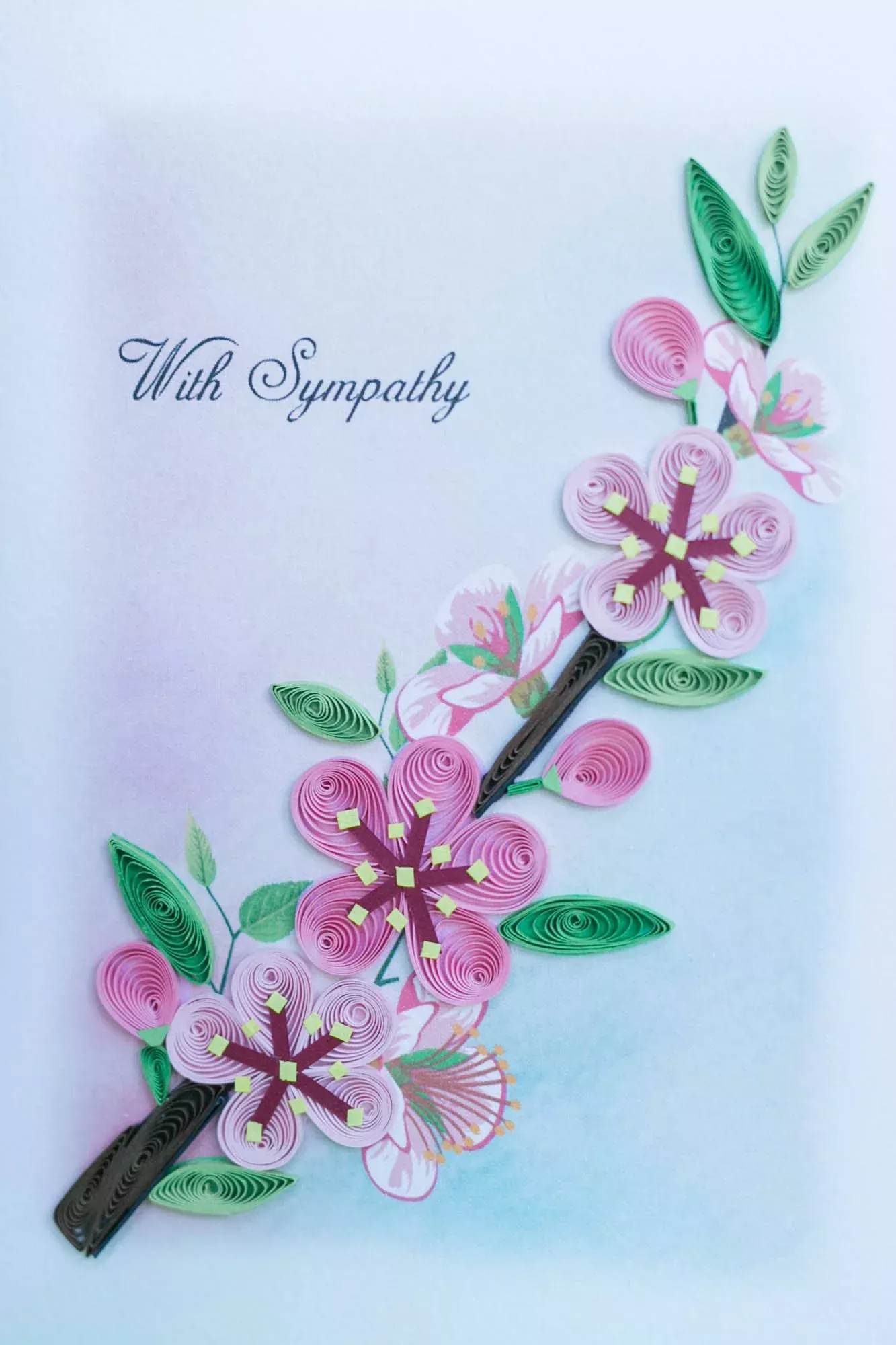 With Sympathy - Cherry Branch