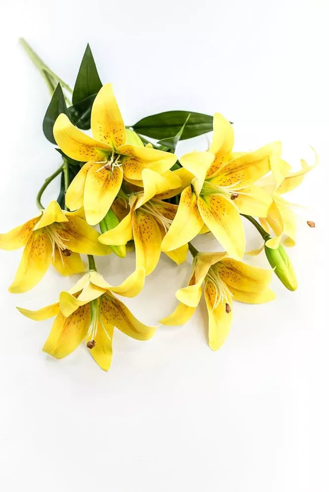 Yellow, Artificial, Lily Bush