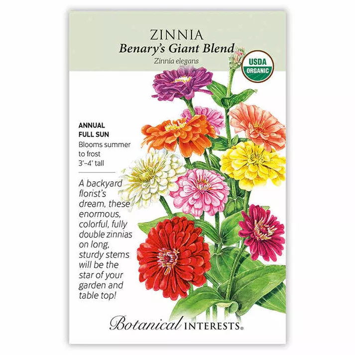Zinnia Benary's Giant Blend Organic