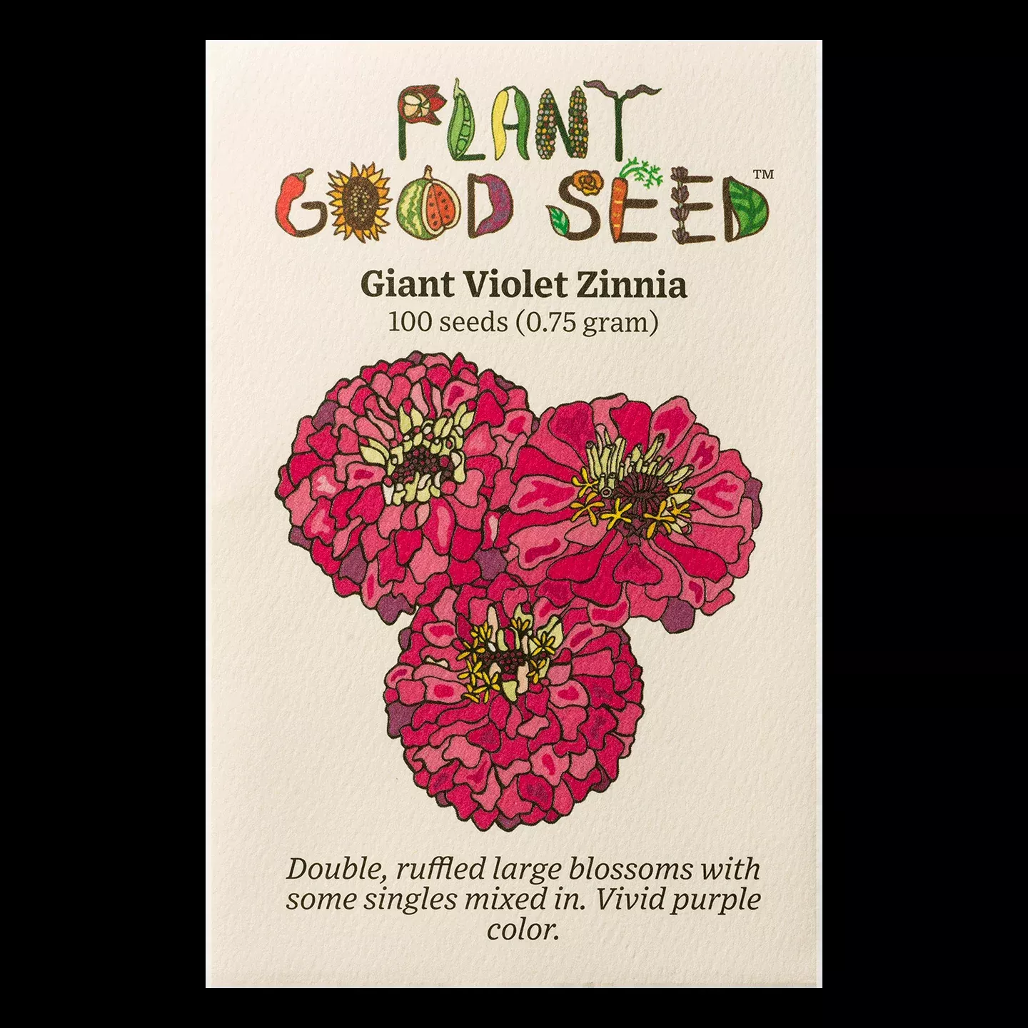 Zinnia - Giant Violet Organic